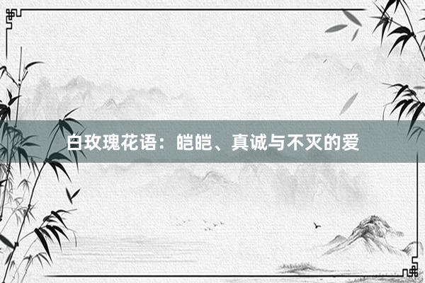 白玫瑰花语：皑皑、真诚与不灭的爱